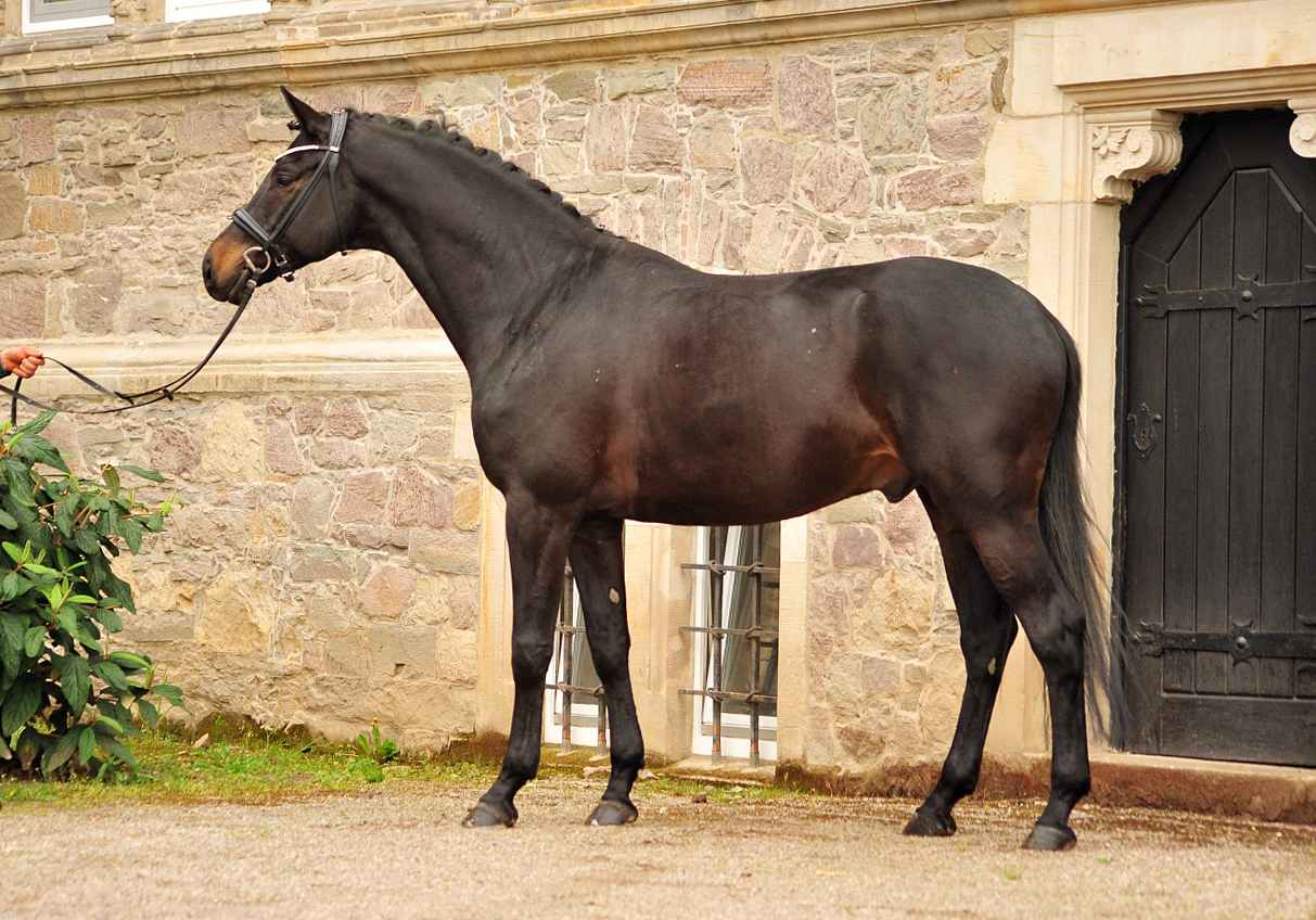 Under Amour v. Saint Cyr im April 2025 - 
Foto: Beate Langels