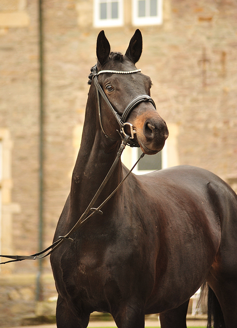 Under Amour v. Saint Cyr im April 2025 - 
Foto: Beate Langels