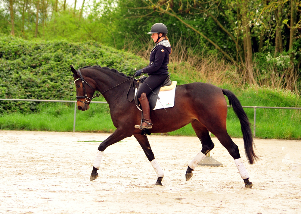 Valentiana v. His Moment x High Motion (4jhrig) im April 2025 - 
Foto: Beate Langels