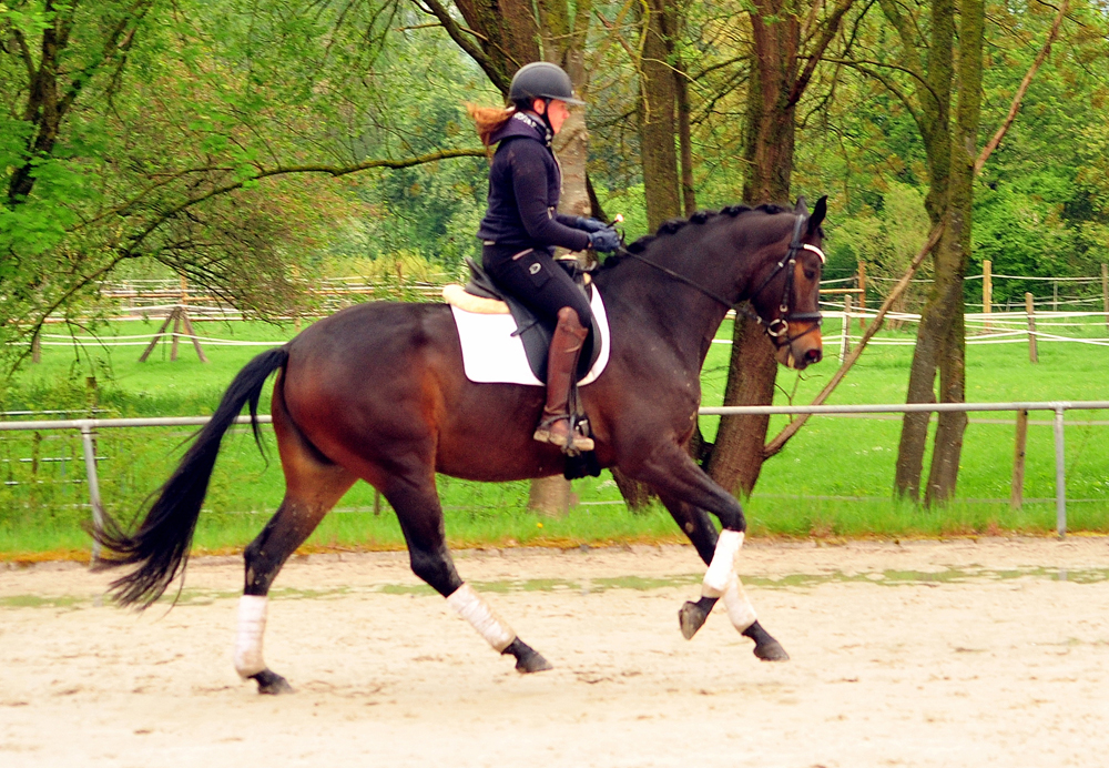 Valentiana v. His Moment x High Motion (4jhrig) im April 2025 - 
Foto: Beate Langels