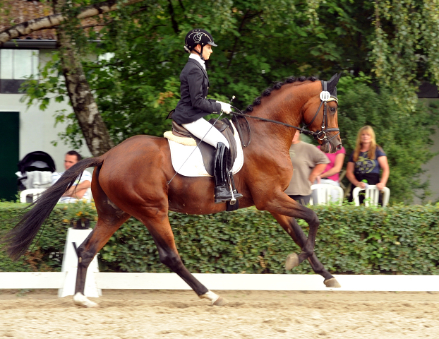 High Motion von Saint Cyr und Stephanie Leuenberger - Foto Beate Langels - Gestt Hmelschenburg