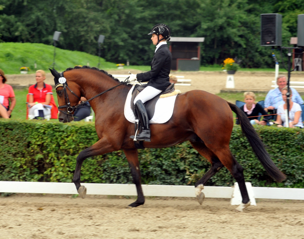 High Motion von Saint Cyr und Stephanie Leuenberger - Foto Beate Langels - Gestt Hmelschenburg