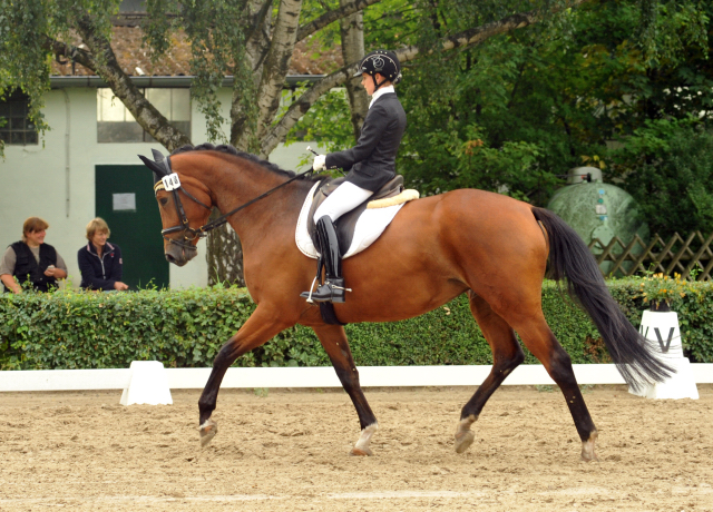 Galathea v. syriano u.d. Pr.St. Gracia Patrizia v. Alter Fritz - Gestt Schplitz - copyright Beate Langels, Trakehner Gestt 
Hmelschenburg