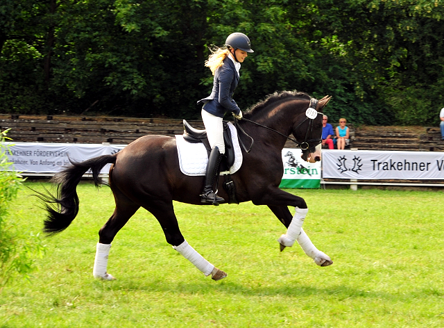 Greenwich Park von Saint Cyr - Foto: Beate Langels - Trakehner Gestt Hmelschenburg