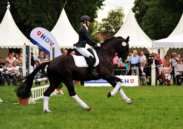 Greenwich Park von Saint Cyr - Foto: Beate Langels - Trakehner Gestt Hmelschenburg