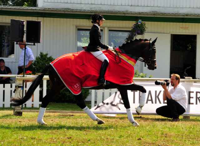  Trakehner Hengstfohlen von Oliver Twist u.d. Pr.u.StPrSt. Schwalbenmagie v. Exclusiv  - Foto: Beate Langels