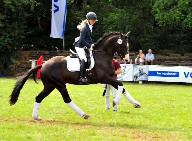 Greenwich Park von Saint Cyr - Foto: Beate Langels - Trakehner Gestt Hmelschenburg