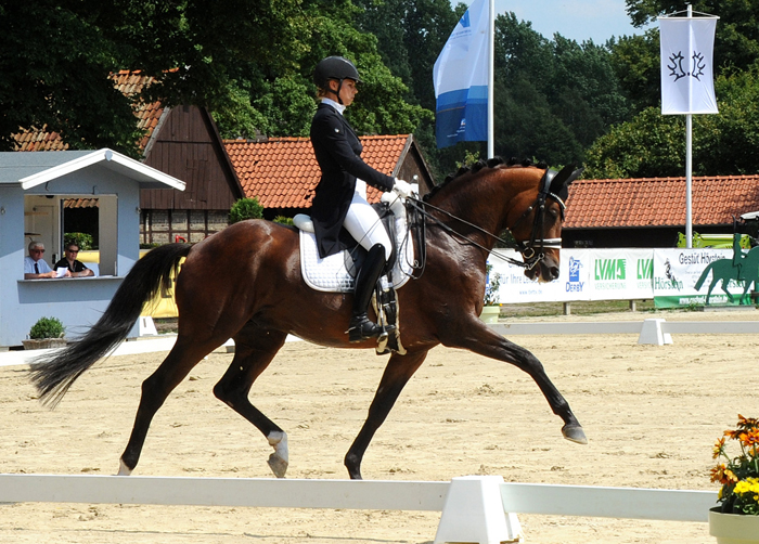 High Motion von Saint Cyr - souverner Sieger in der Inter I und 
im Prix St. Georges beim internationalen Trakehner Bundesturnier - Foto: Beate Langels - 
Trakehner Gestt Hmelschenburg