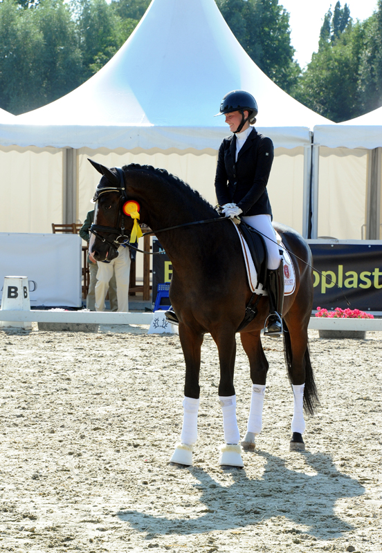 Goldfieber von Le Rouge u.d. Prmienstute Gardema von Shavalou - Kostolany - Foto: Beate Langels