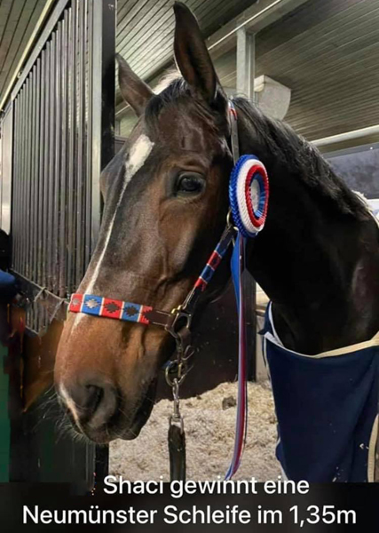 Shacarola von Shavalou