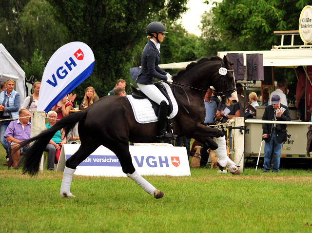 Greenwich Park von Saint Cyr - Foto: Beate Langels - Trakehner Gestt Hmelschenburg