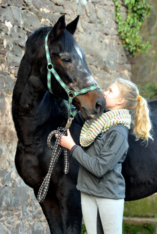 Der Hmelschenburger Trakehner Hengst Exclusiv und der Nikolaus - Foto: Beate Langels - Trakehner Gestt Hmelschenburg