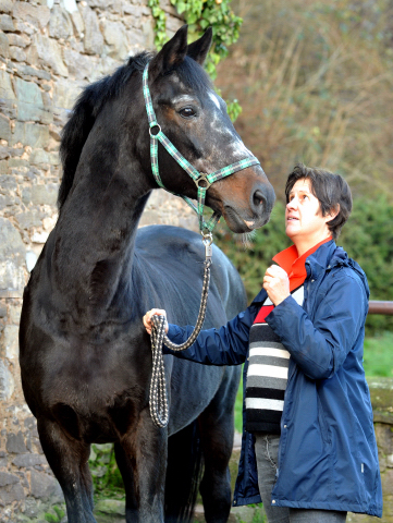 Exclusiv - Foto: Trakehner Gestt Hmelschenburg - Beate Langels