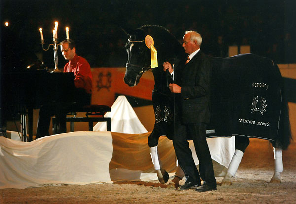 Trakehner Hengst KOSTOLANY von Enrico Caruso u.d. Kapstadt v. Falke - Trakehner Gestt Hmelschenburg anlsslich der Galaschau in Neumnster 2009 - Foto: Tammo Ernst