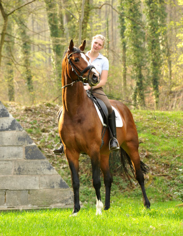 Trakehner Hengst FREUDENFEST v. Tolstoi mit Pia - Trakehner Gestt Hmelschenburg