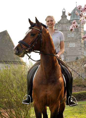 Trakehner Hengst FREUDENFEST v. Tolstoi mit Pia - Trakehner Gestt Hmelschenburg