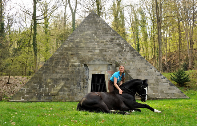 Alter Fritz von Chardonney - Kokoschka - Seeadler - Trakehner Gestt Hmelschenburg