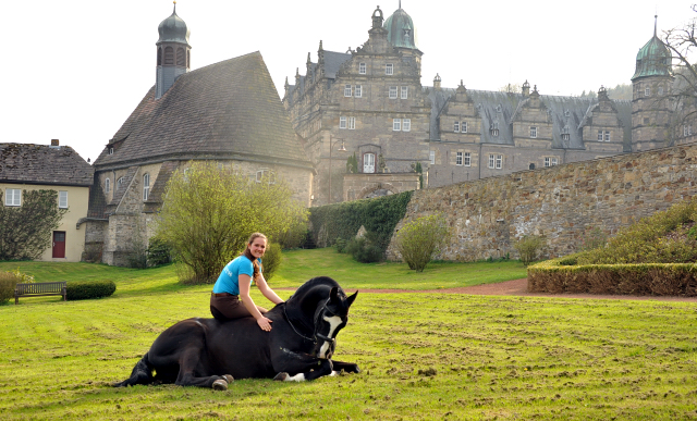 Alter Fritz von Chardonney - Kokoschka - Seeadler und Luisa - Trakehner Gestt Hmelschenburg