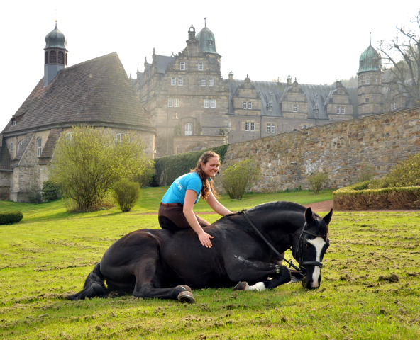 Alter Fritz von Chardonney - Kokoschka - Seeadler und Luisa - Trakehner Gestt Hmelschenburg