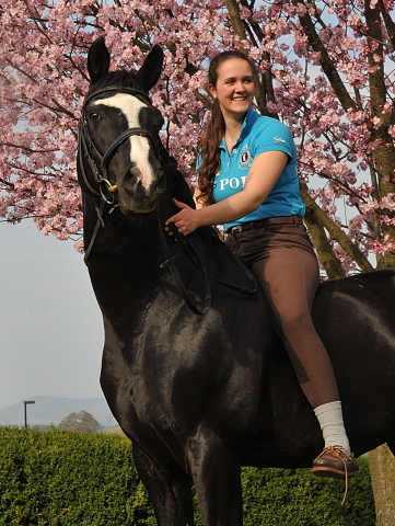 Alter Fritz von Chardonney - Kokoschka - Seeadler und Luisa - Trakehner Gestt Hmelschenburg