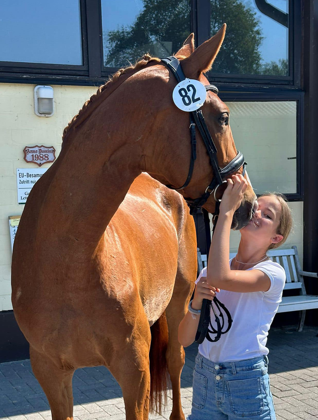 Pr.A. Valdivia - Trakehner Mare by High Motion out of Pr.u.StPrSt. Vittoria by Exclusiv- Trakehner Gestt Hmelschenburg - Foto: Pia Elger - Trakehner Gestt Hmelschenburg