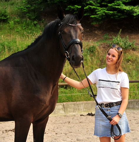 Vittoriano - 4jhriger Trakehner von Touch my Heart u.d. Pr.u.StPrSt. Vittoria v. Exclusiv - Trakehner Gestt Hmelschenburg - Foto: Beate Langels - Trakehner Gestt Hmelschenburg