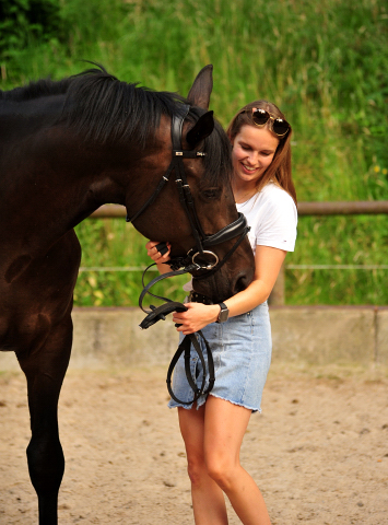 Vittoriano - 4jhriger Trakehner von Touch my Heart u.d. Pr.u.StPrSt. Vittoria v. Exclusiv - Trakehner Gestt Hmelschenburg - Foto: Beate Langels - Trakehner Gestt Hmelschenburg