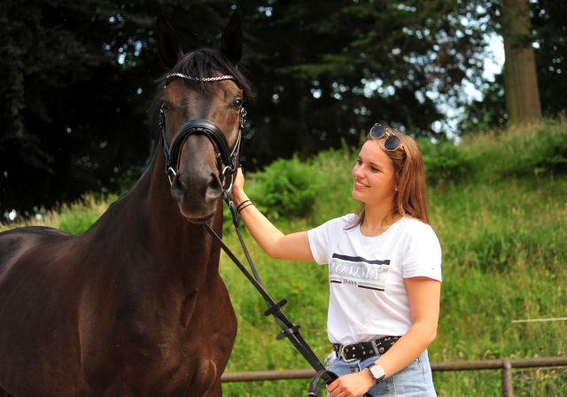 Vittoriano - 4jhriger Trakehner von Touch my Heart u.d. Pr.u.StPrSt. Vittoria v. Exclusiv - Trakehner Gestt Hmelschenburg - Foto: Beate Langels - Trakehner Gestt Hmelschenburg