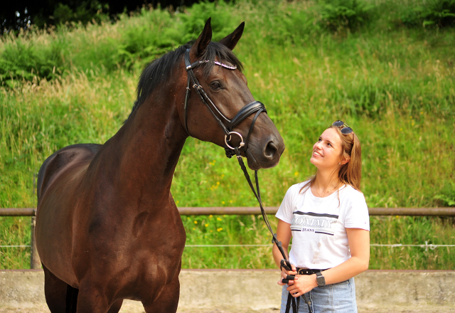 Vittoriano - 4jhriger Trakehner von Touch my Heart u.d. Pr.u.StPrSt. Vittoria v. Exclusiv - Trakehner Gestt Hmelschenburg - Foto: Beate Langels - Trakehner Gestt Hmelschenburg