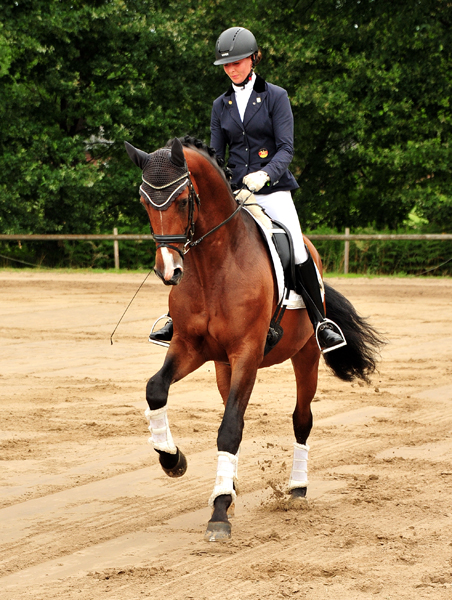 Trakehner KACYRO v. Saint Cyr u.d. Pr.,StPr. u. Elitestute Karena v. Freudenfest - Foto: Beate Langels - Trakehner Gestt Hmelschenburg