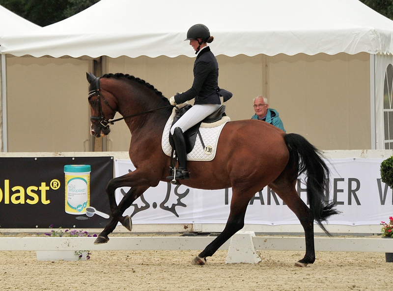 Trakehner KACYRO v. Saint Cyr u.d. Pr.,StPr. u. Elitestute Karena v. Freudenfest - Foto: Beate Langels - Trakehner Gestt Hmelschenburg