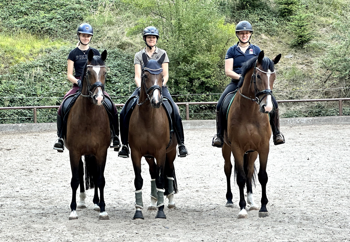 Tacyra mit Tochter Taluna und Sohn Tom Taylor - Foto: Beate Langels - Trakehner Gestt Hmelschenburg