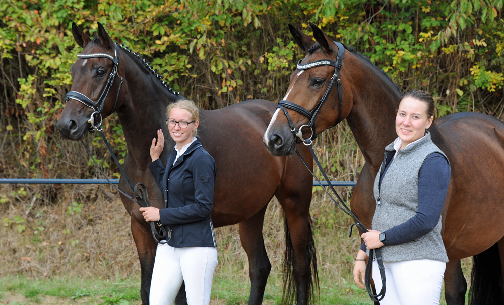 Stutenenleistungsprfung: Taluna v. Alter Fritz u.d. Pr.u.StPrSt. Tacyra v. Saint Cyr - Trakehner Gestt Hmelschenburg - 
Foto: Beate Langels