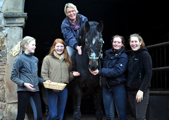 Dezember 2015 in Hmelschenburg  - Fotos Beate Langels- Trakehner Gestt Hmelschenburg
