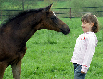 Schwalbenmelodie v. Kostolany - Foto: Beate Langels, Gestt Hmelschenburg