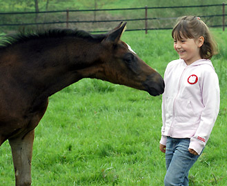 Schwalbenmelodie v. Kostolany - Foto: Beate Langels, Gestt Hmelschenburg