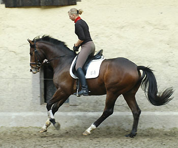 Zinedine Zidane von Summertime und Christina - Foto: Beate Langels