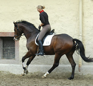 Zinedine Zidane von Summertime und Christina - Foto: Beate Langels