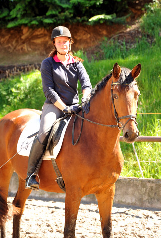 Trakehner Stute Giulietta von Saint Cyr u.d. Pr. u. St.Pr.St. Guendalina von Red Patrick xx