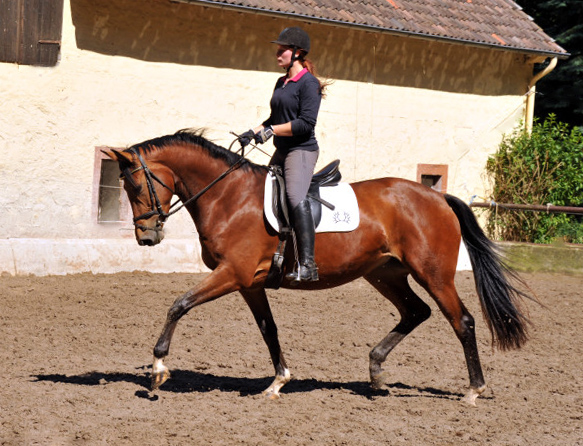 Trakehner Stute Giulietta von Saint Cyr u.d. Pr. u. St.Pr.St. Guendalina von Red Patrick xx