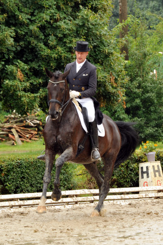 Seal - Trakehner von Gribaldi u.d. Pr.St. Schwalbenspiel v. Exclusiv, Trakehner Gestt Hmelschenburg