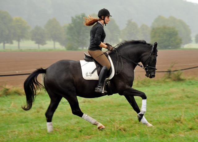 Schwalbensiegel von Kostolany u.d. Pr.,StPr. u. Elitestute Schwalbenspiel v. Exclusiv - Foto: Beate Langels - Zchter: 
Trakehner Gestt Hmelschenburg