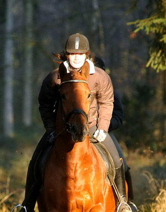 Rivergold von Freudenfest geritten von unserer Auszubildenden Jessica - Foto: Beate Langels - Trakehner Gestt Hmelschenburg