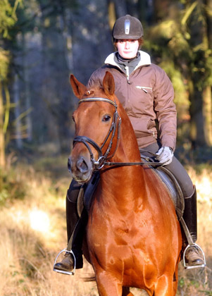 Rivergold von Freudenfest geritten von unserer Auszubildenden Jessica - Foto: Beate Langels - Trakehner Gestt Hmelschenburg