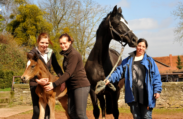 Trakehner Stutfohlen von High Motion u.d. Greta Garbo v. Alter Fritz, Gestt Hmelschenburg - Beate Langels