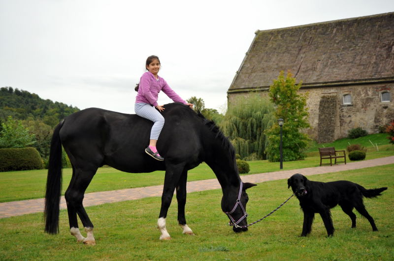 Elli mit Jojo und der Trakehner Hauptbeschler Kostolany in Hmelschenburg, Foto: Beate Langels, Trakehner Gestt Hmelschenburg