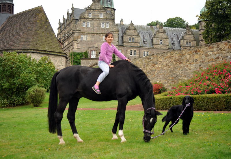 Elli mit Jojo und der Trakehner Hauptbeschler Kostolany in Hmelschenburg, Foto: Beate Langels, Trakehner Gestt Hmelschenburg