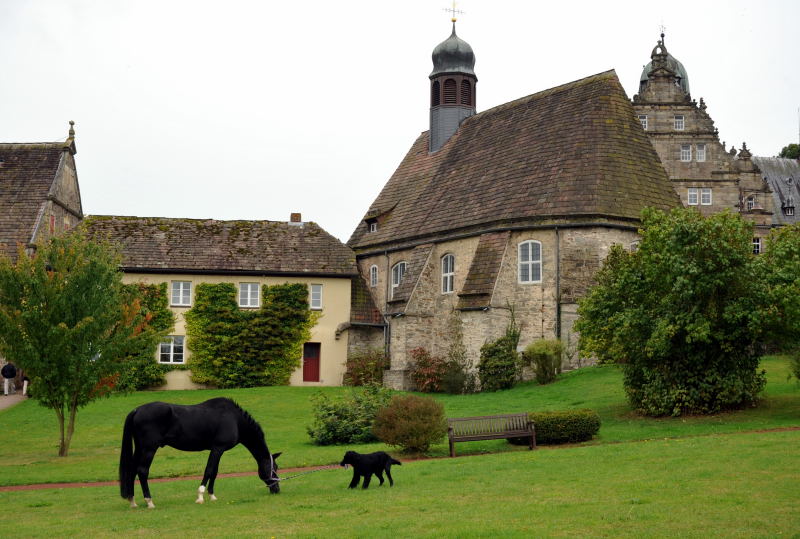 Jojo und der Trakehner Hauptbeschler Kostolany in Hmelschenburg, Foto: Beate Langels, Trakehner Gestt Hmelschenburg