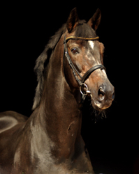 Exclusiv von Starway an seinem 25. Geburtstag