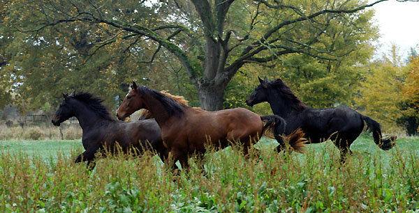 Springtime von Summertime im Oktober 2009